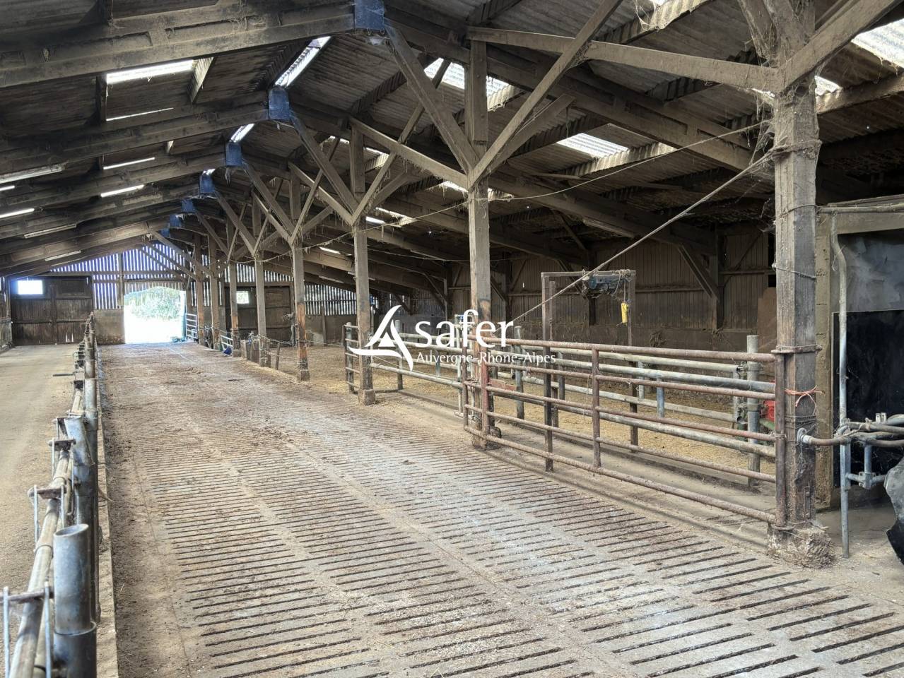 Schapen exploitatie Koop Rh&ocirc;ne