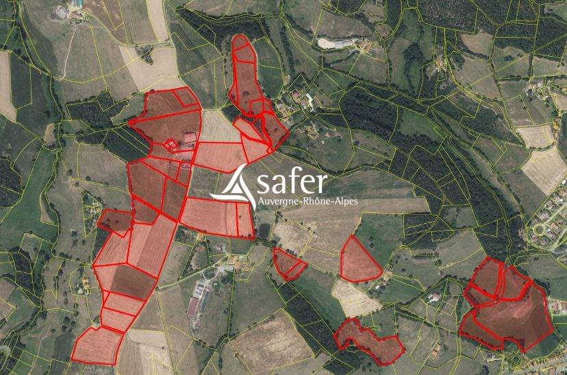 Schapen exploitatie Koop Rh&ocirc;ne