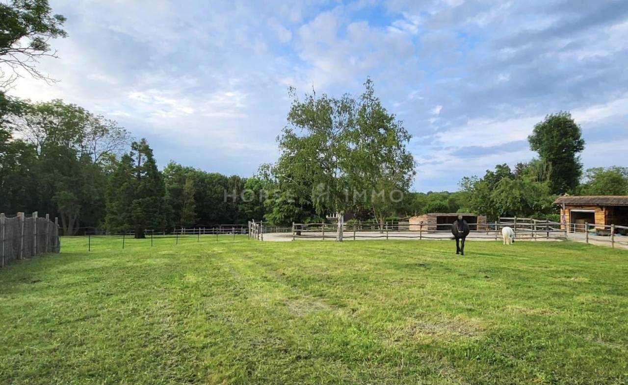 Hippisch vastgoed Koop Yvelines
