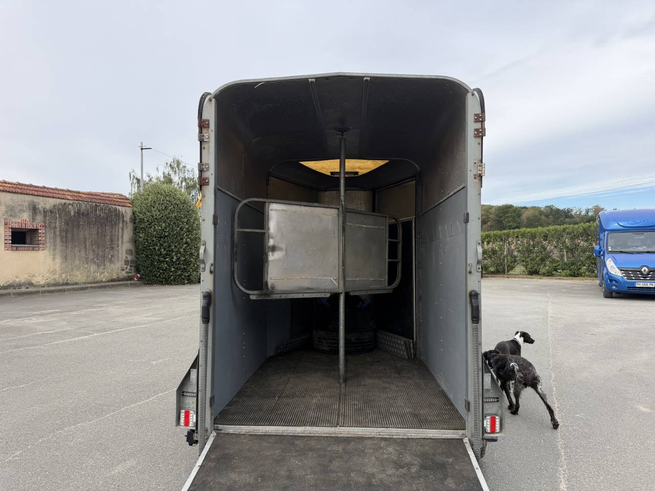 Paardentrailers Ifor Williams HB505R 2 Paarden 2000 Tweedehands