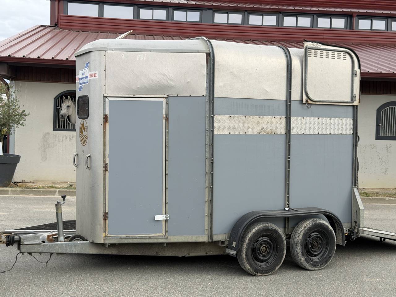 Paardentrailers Ifor Williams HB505R 2 Paarden 2000 Tweedehands