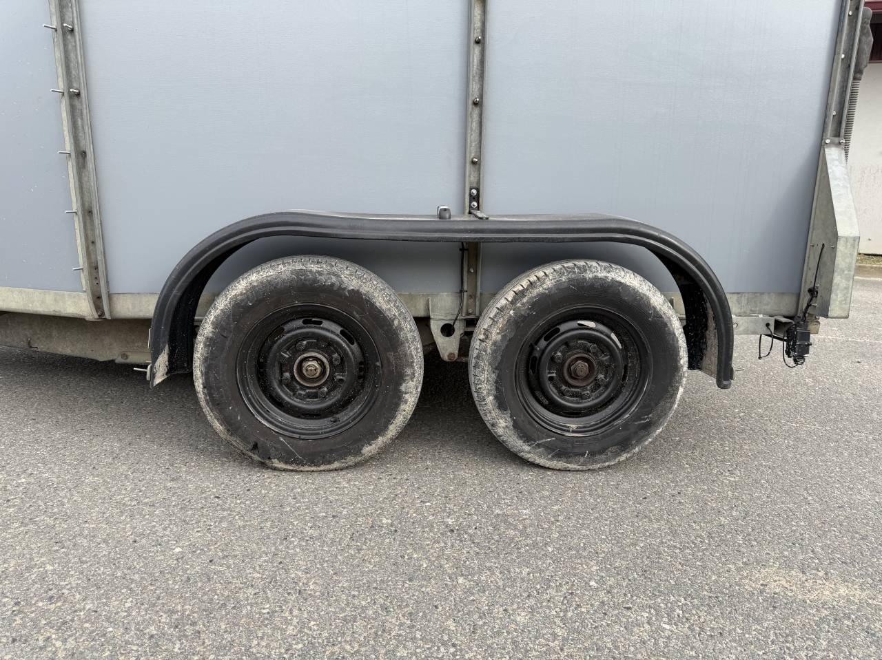 Paardentrailers Ifor Williams HB505R 2 Paarden 2000 Tweedehands