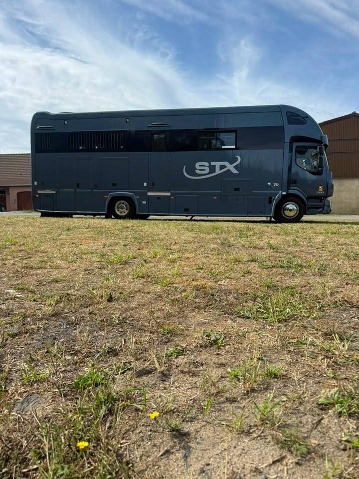 Zware paardenvrachtwagen (groot rijbewijs) STX volvo fl 2016 Nieuw