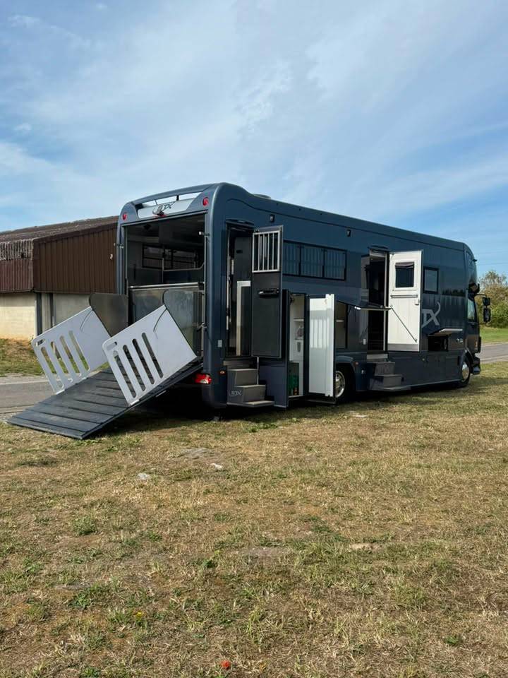 Zware paardenvrachtwagen (groot rijbewijs) STX volvo fl 2016 Nieuw