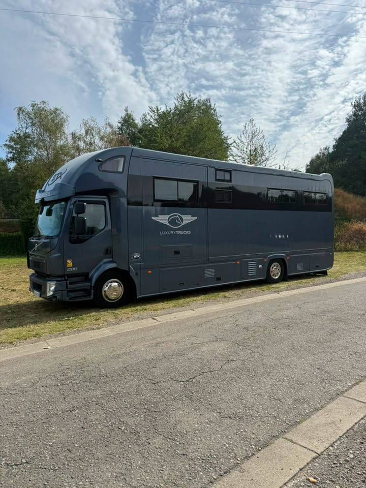 Zware paardenvrachtwagen (groot rijbewijs) STX volvo fl 2016 Nieuw
