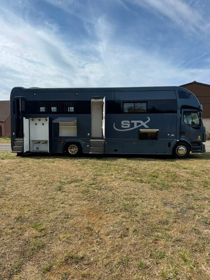 Zware paardenvrachtwagen (groot rijbewijs) STX volvo fl 2016 Nieuw