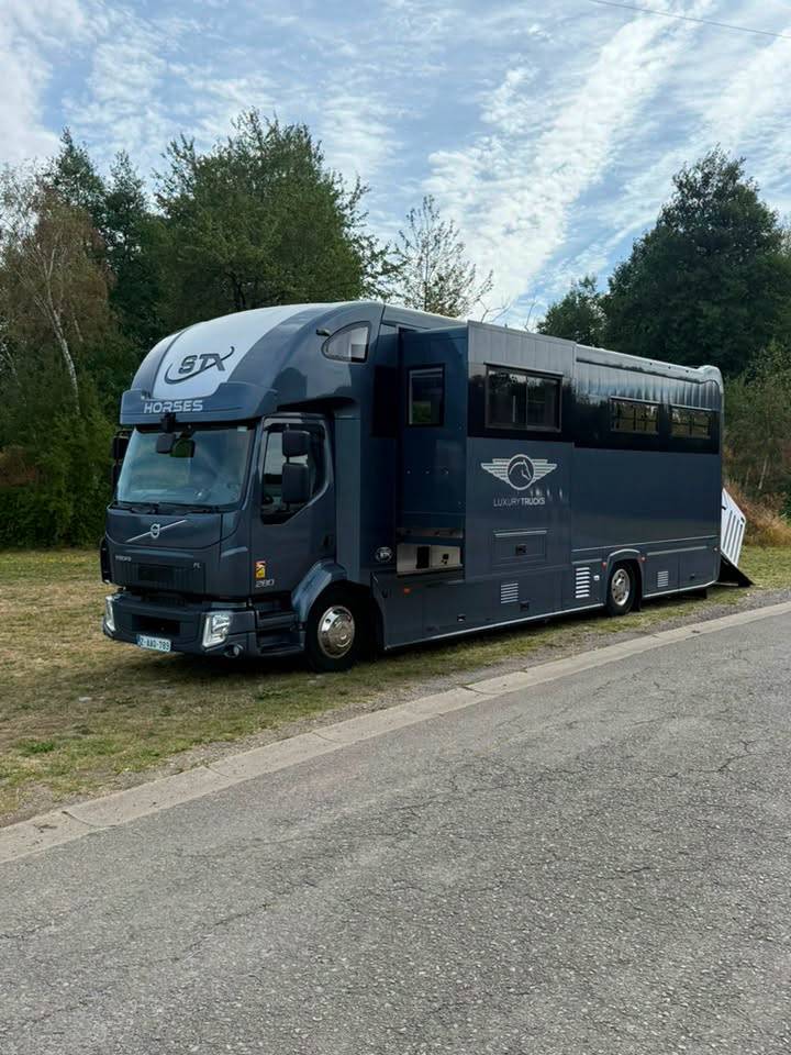 Zware paardenvrachtwagen (groot rijbewijs) STX volvo fl 2016 Nieuw