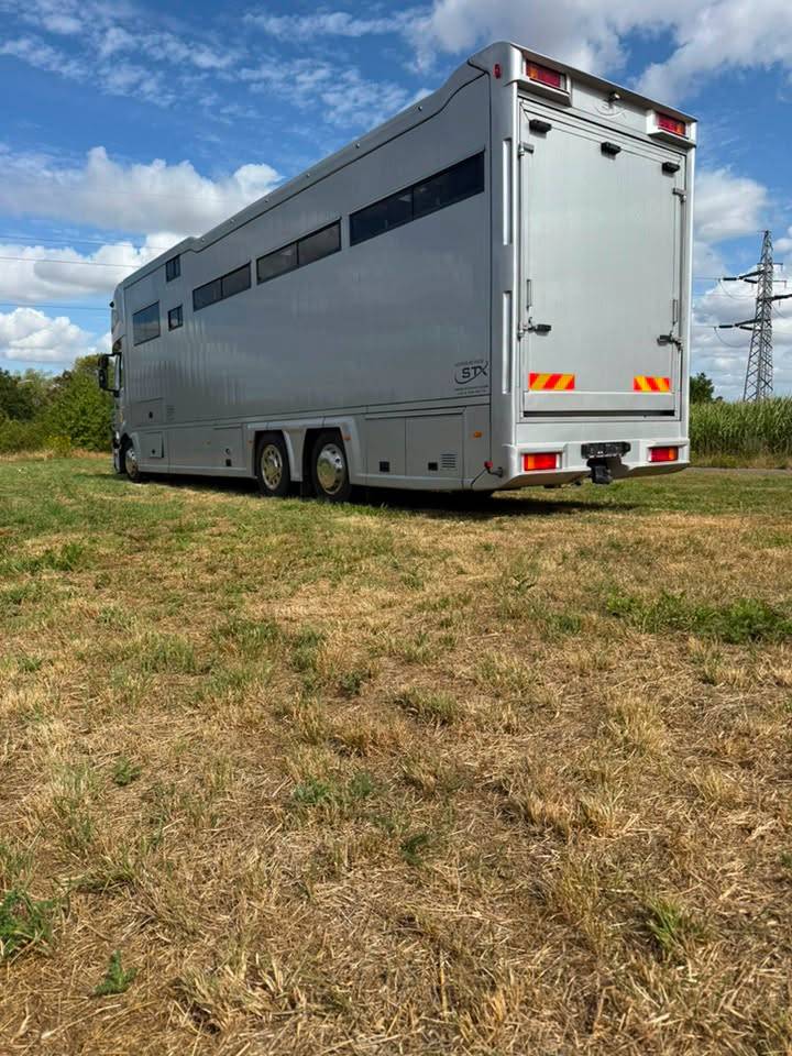 Zware paardenvrachtwagen (groot rijbewijs) STX iveco stalis 2011 Tweedehands