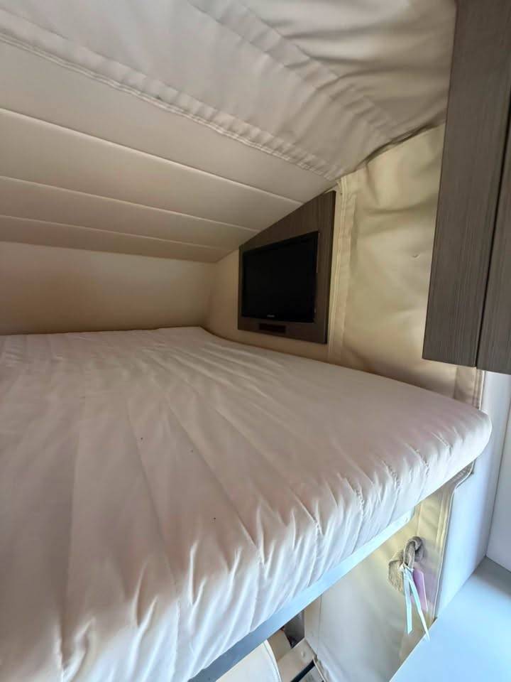 Zware paardenvrachtwagen (groot rijbewijs) STX iveco stalis 2011 Tweedehands