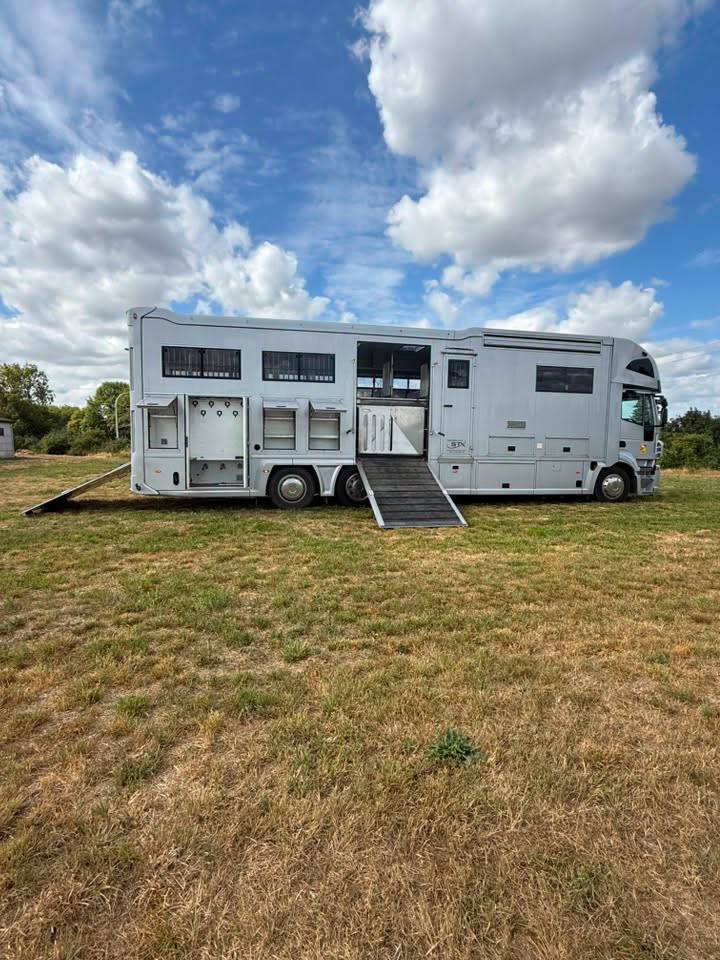 Zware paardenvrachtwagen (groot rijbewijs) STX iveco stalis 2011 Tweedehands