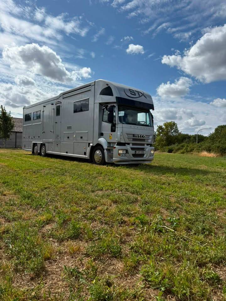 Zware paardenvrachtwagen (groot rijbewijs) STX iveco stalis 2011 Tweedehands