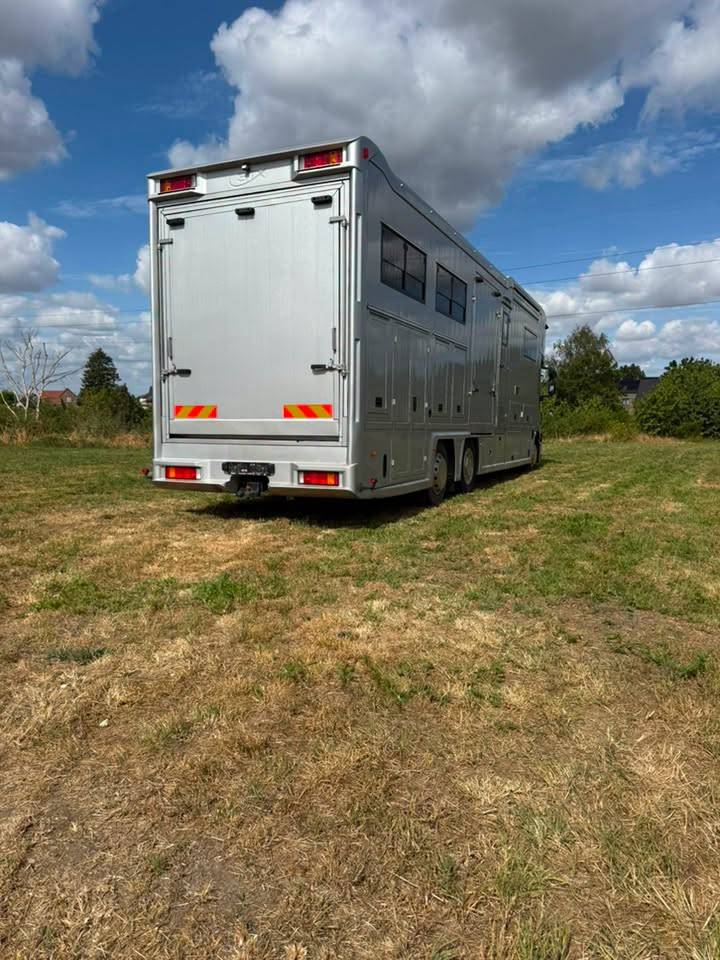Zware paardenvrachtwagen (groot rijbewijs) STX iveco stalis 2011 Tweedehands