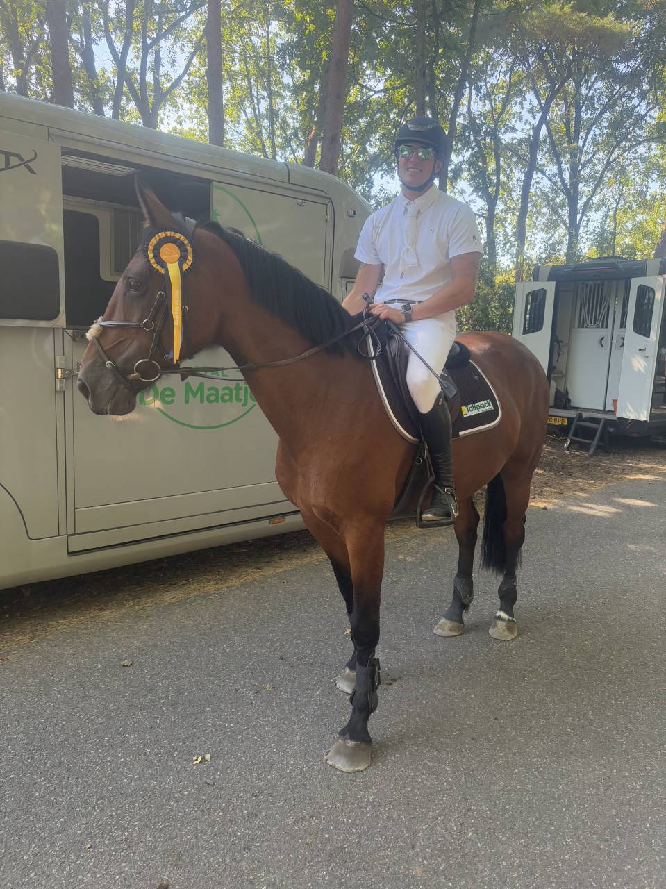 Super brave merrie voor ambitieuze ruiter