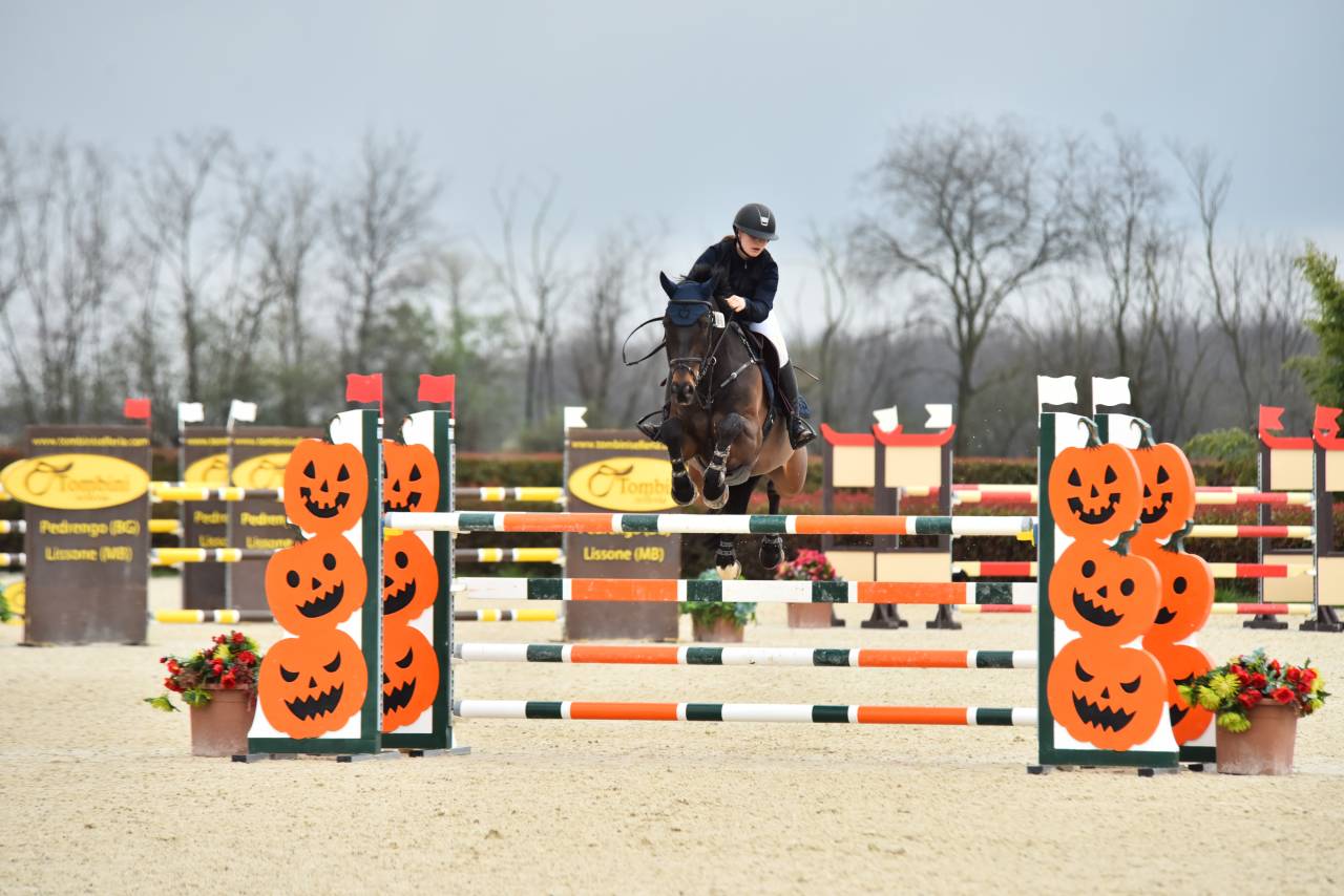 14y gelding by Diamant de Semilly 