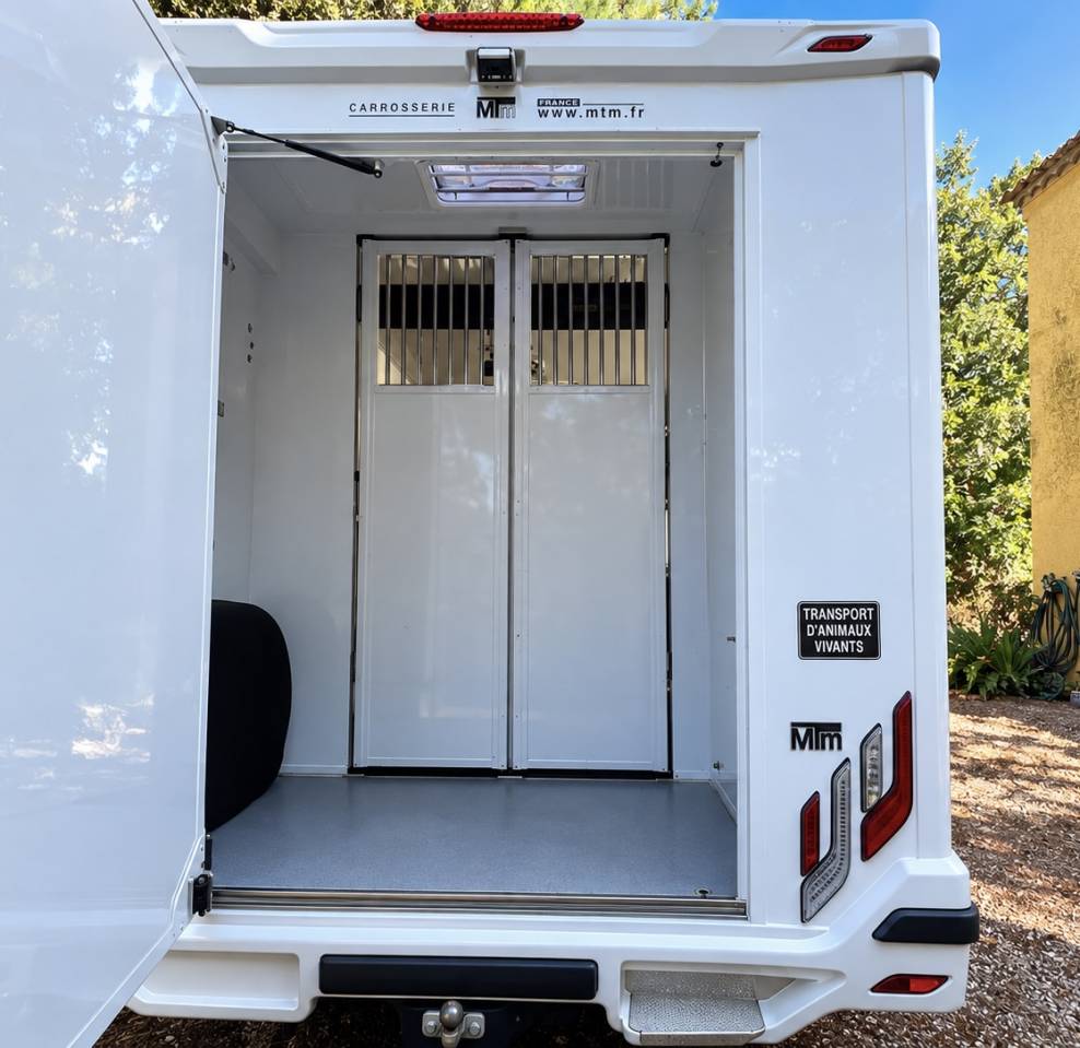 Kleine paardenvrachtwagen (B rijbewijs) Renault Master filovan S5  2021 Tweedehands