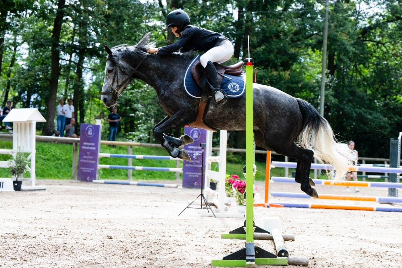 Merrie Franse rijpony PFS Te koop 2018 Schimmel ,  Juke Box du Buhot, PFS