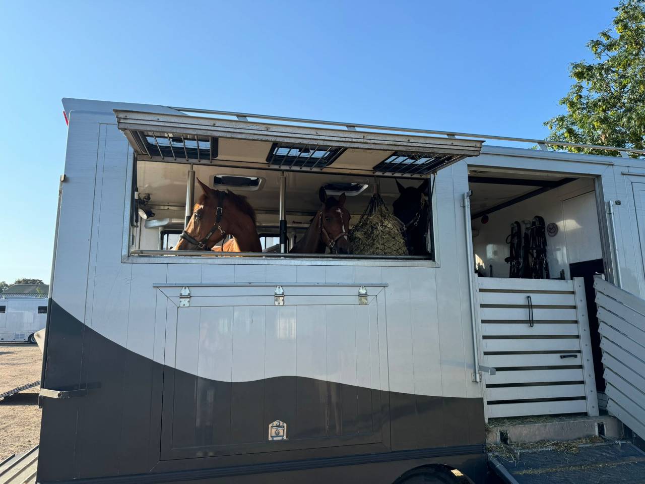 Goed onderhouden paardenvrachtwagen te koop