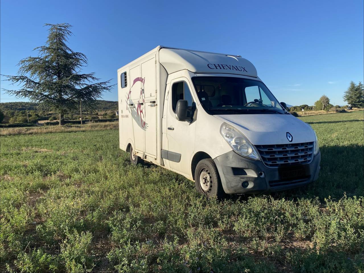 Kleine paardenvrachtwagen (B rijbewijs) Renault 2.3 DCI  2010 Tweedehands