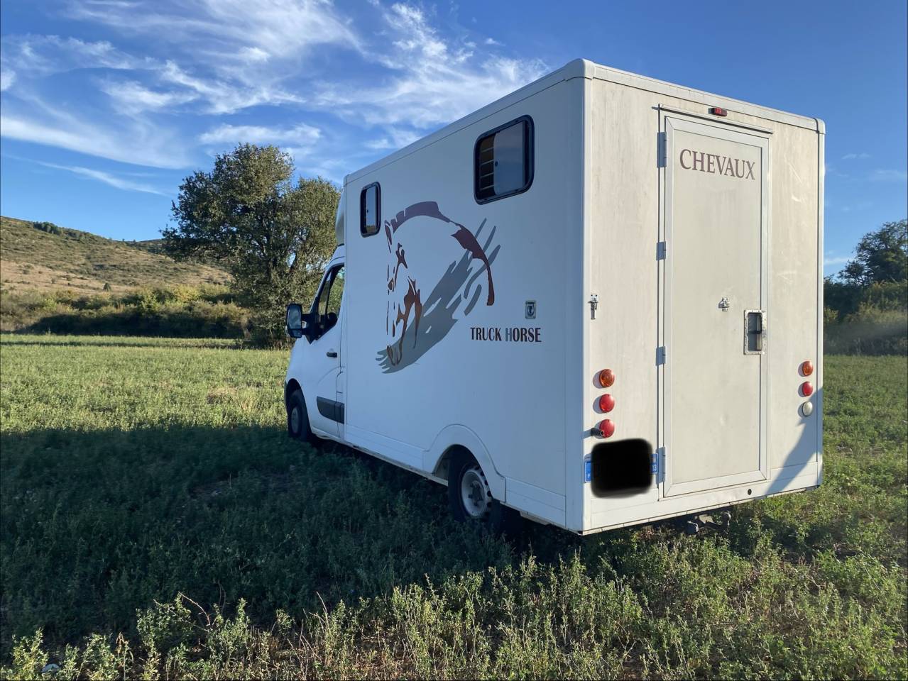 Kleine paardenvrachtwagen (B rijbewijs) Renault 2.3 DCI  2010 Tweedehands