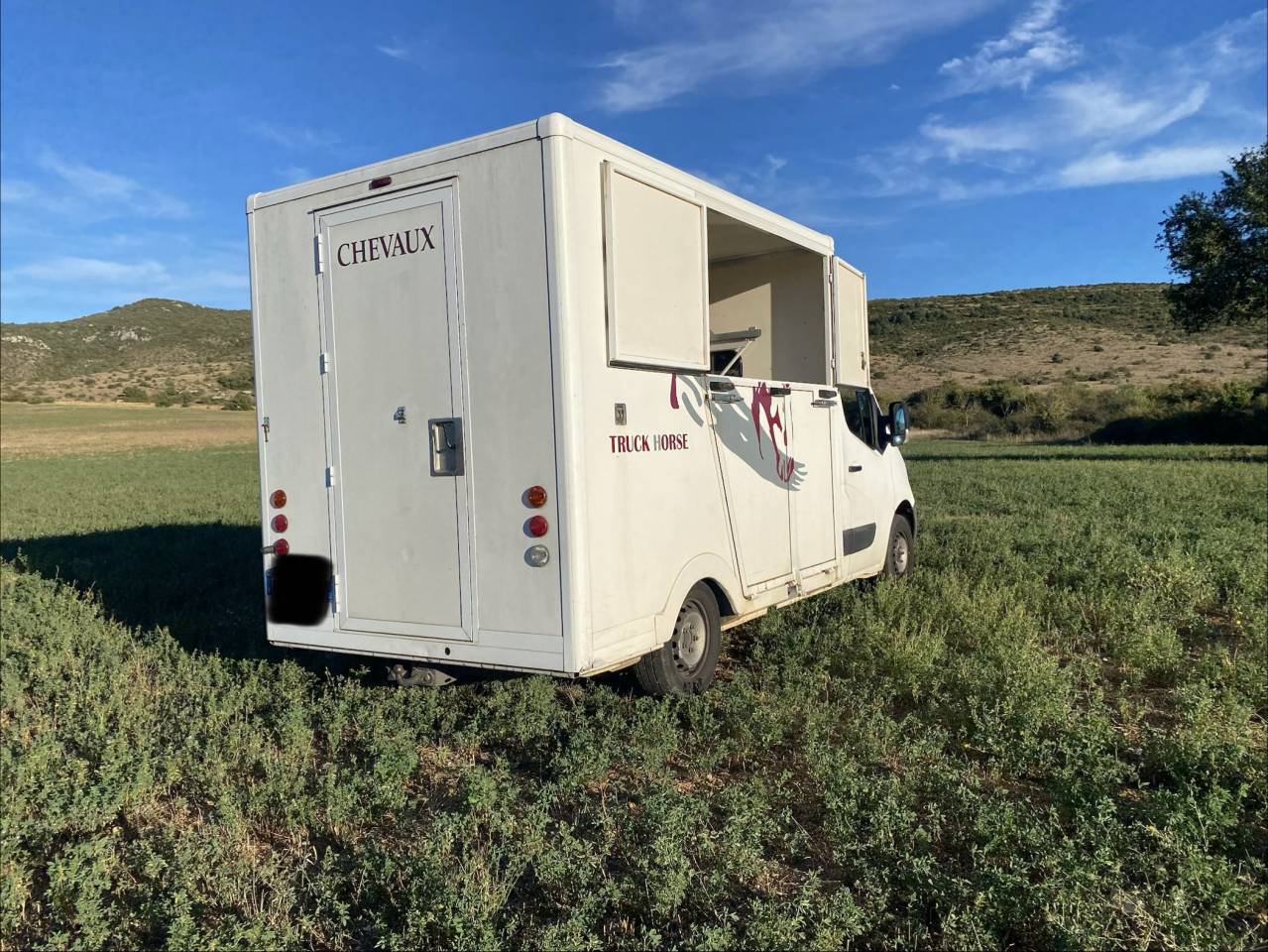 Kleine paardenvrachtwagen (B rijbewijs) Renault 2.3 DCI  2010 Tweedehands