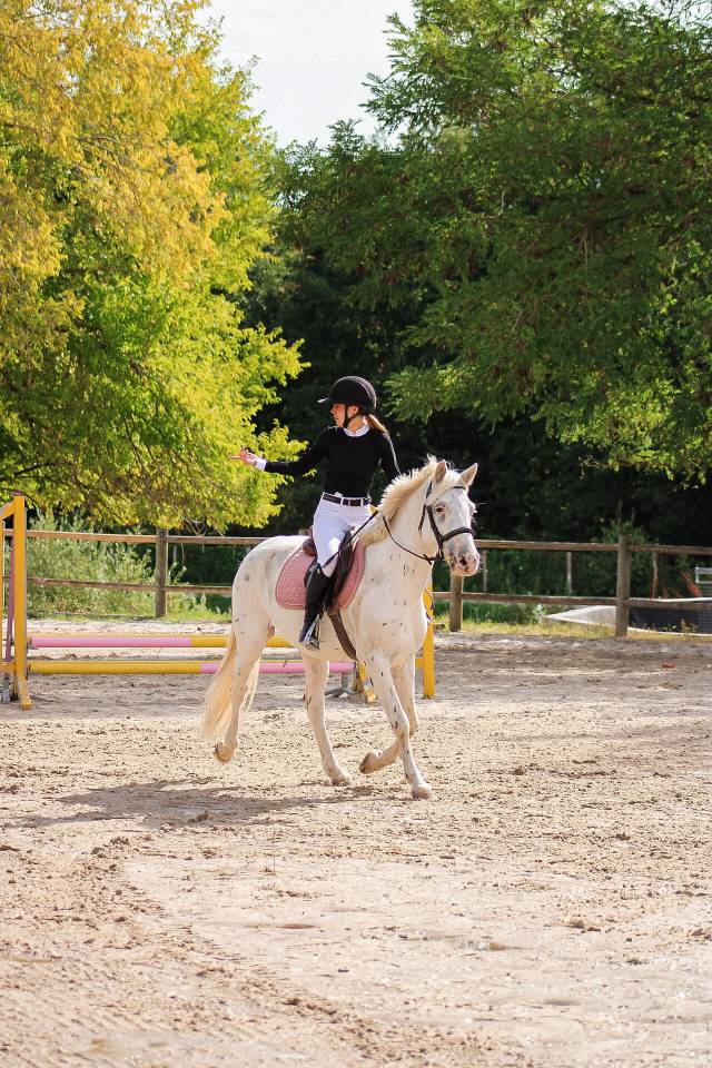 Ruin Connemara Te koop 2022 Appaloosa