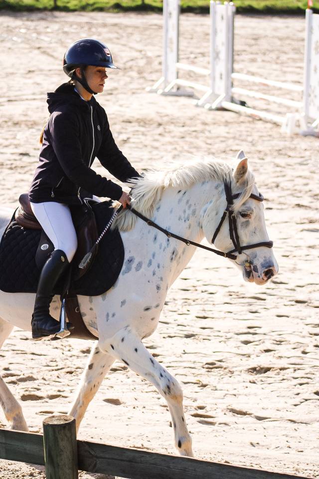 Ruin Connemara Te koop 2022 Appaloosa