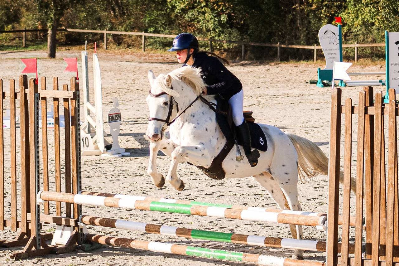 Ruin Connemara Te koop 2022 Appaloosa