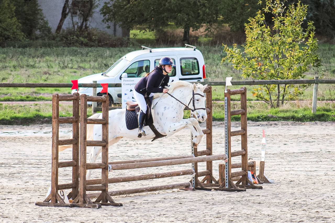 Ruin Connemara Te koop 2022 Appaloosa