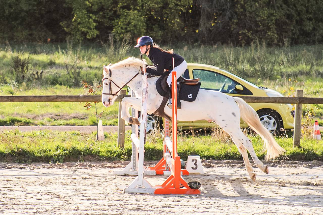 Ruin Connemara Te koop 2022 Appaloosa