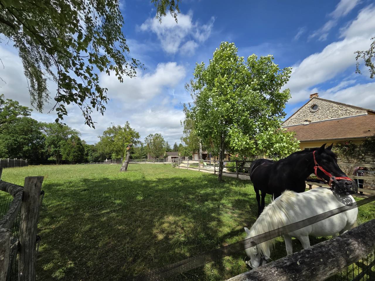 Mooi hippisch vastgoed Koop Yvelines