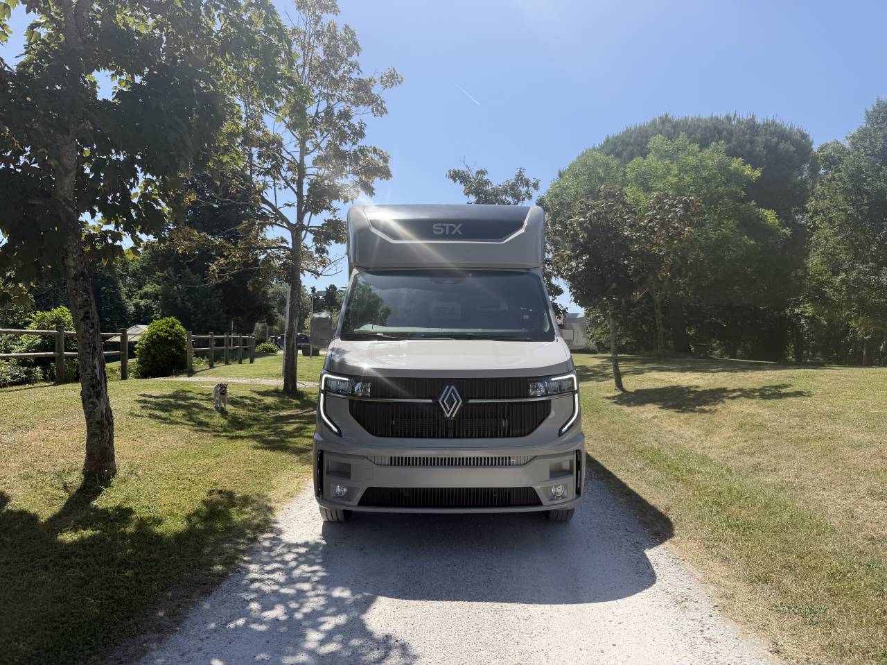 Kleine paardenvrachtwagen (B rijbewijs) STX HARAS LONG 2025 Tweedehands