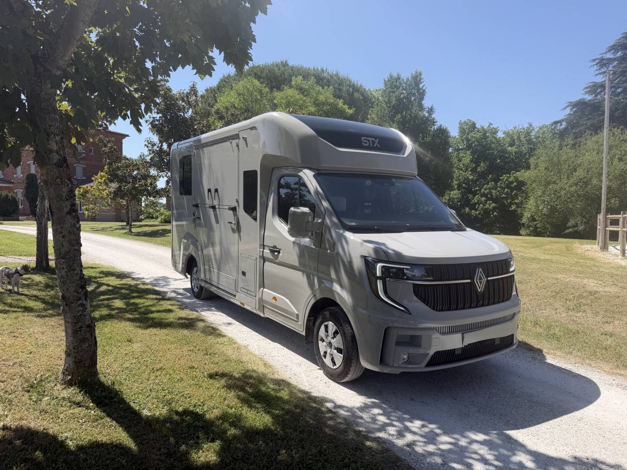 Kleine paardenvrachtwagen (B rijbewijs) STX HARAS LONG 2025 Tweedehands