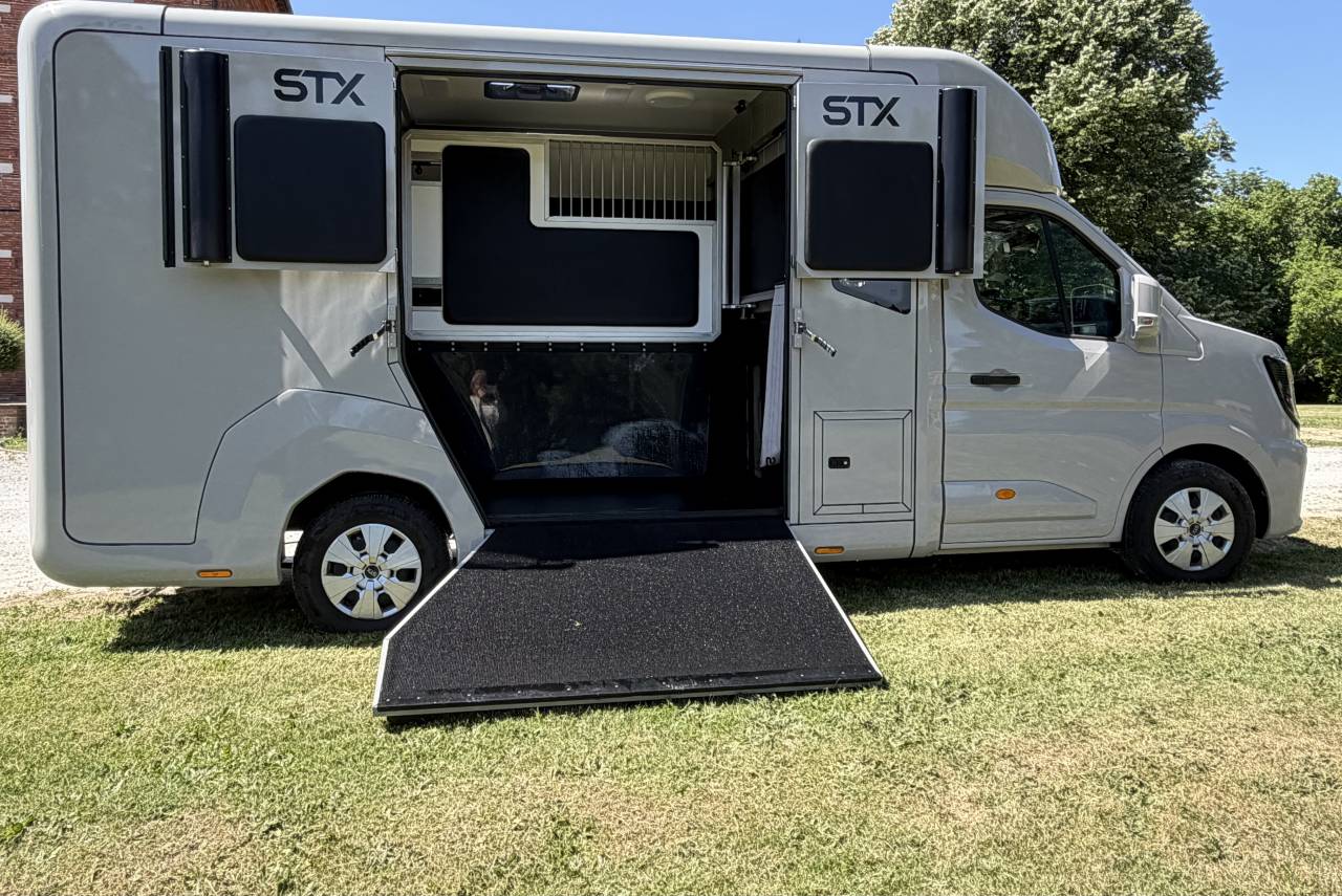 Kleine paardenvrachtwagen (B rijbewijs) STX HARAS LONG 2025 Tweedehands
