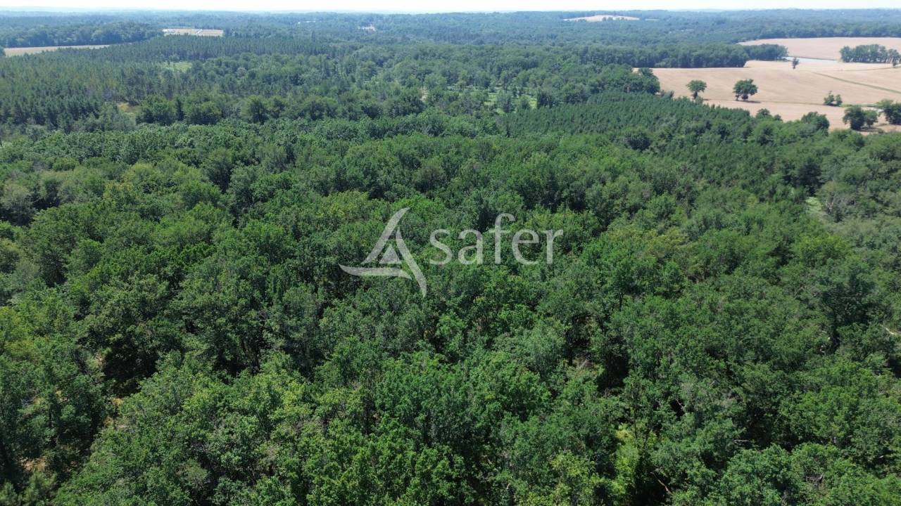 Bos exploitatie Koop Dordogne