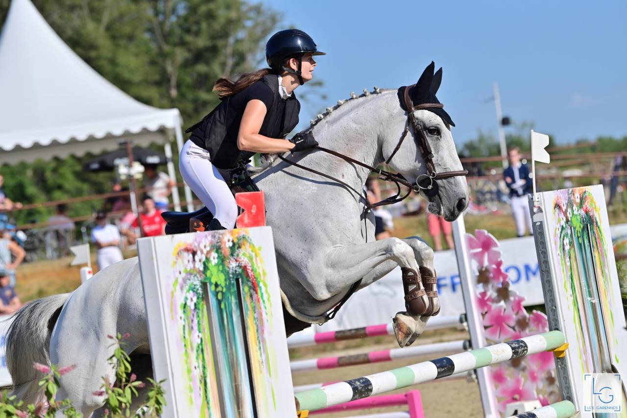 Merrie Bekend ras Te koop 2015 Schimmel