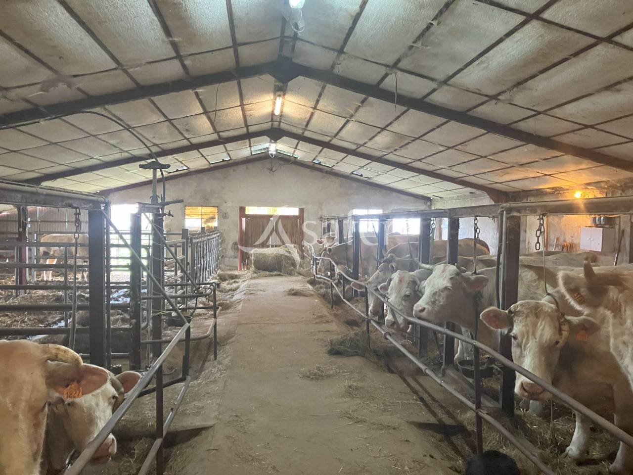 Landbouw bedrijf Koop Sa&ocirc;ne-et-Loire