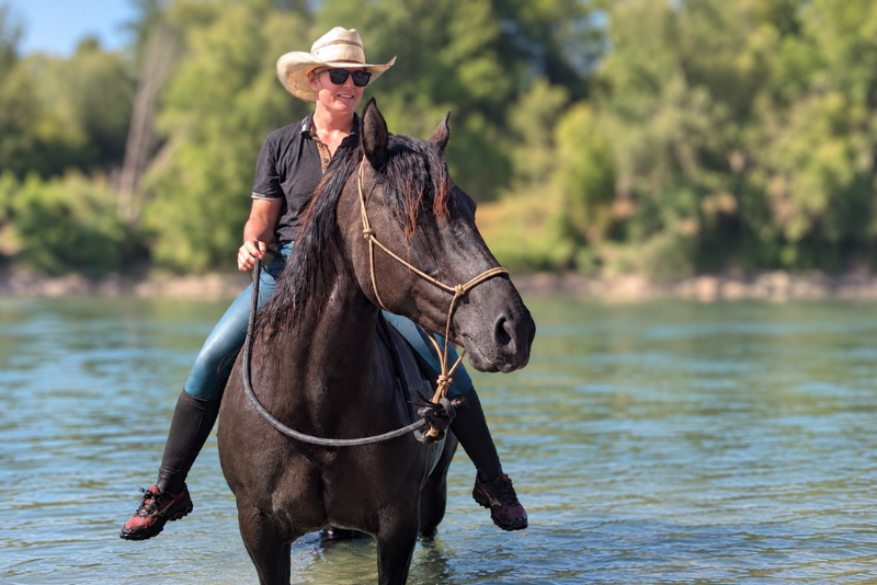 Merrie Quarter Horse Te koop 2020 Muisgrijs ,  JAZ GC DE PLATA