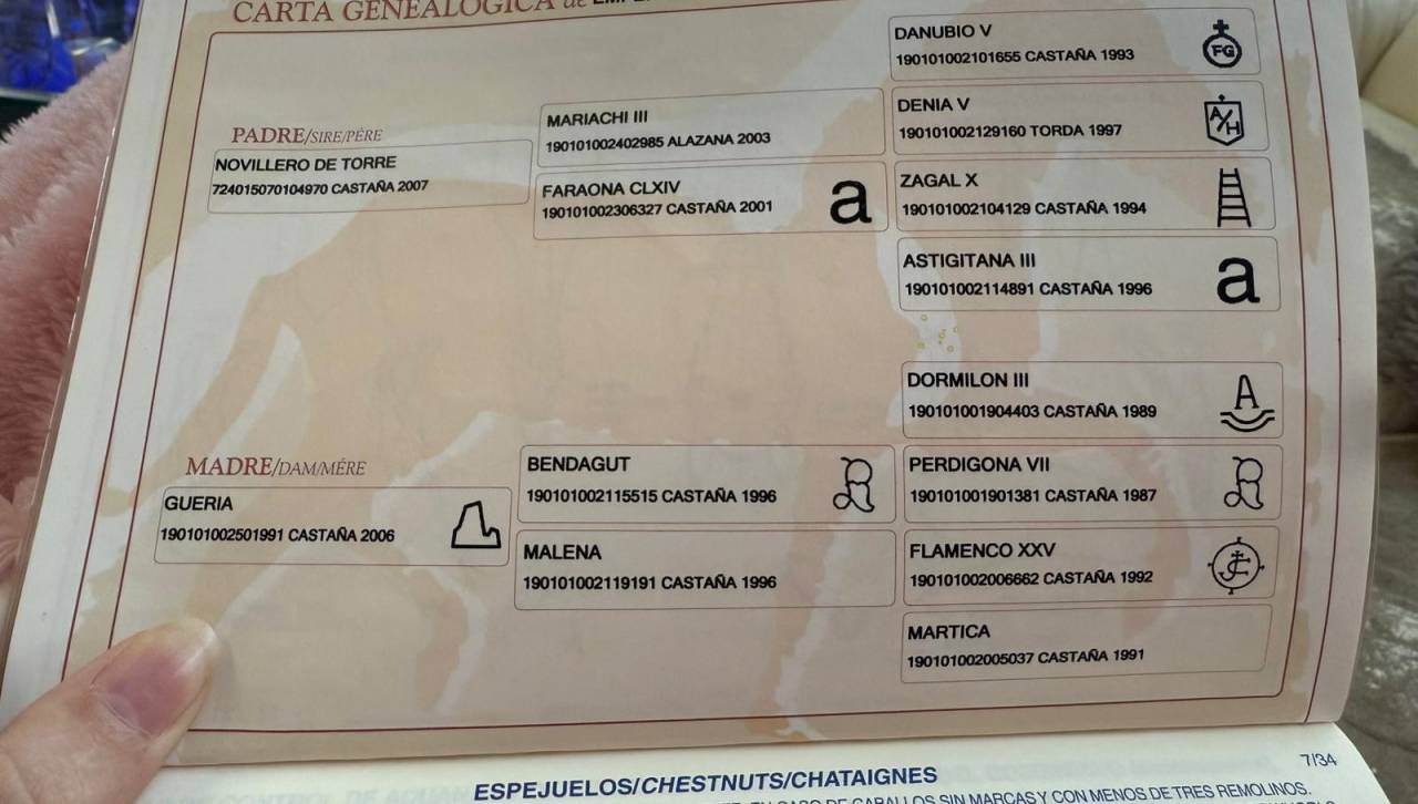 Mooie Andalusi&euml;r ruin te koop 