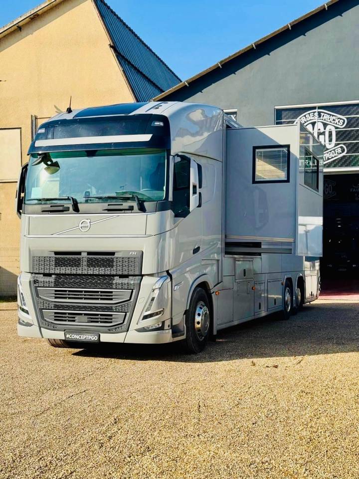 Zware paardenvrachtwagen (groot rijbewijs) Volvo CONCEPTPGO 2023 Nieuw