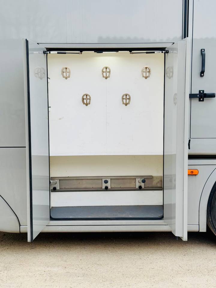 Zware paardenvrachtwagen (groot rijbewijs) Volvo CONCEPTPGO 2023 Nieuw
