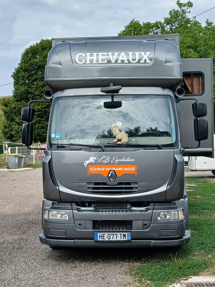 Zware paardenvrachtwagen (groot rijbewijs) Renault MILDIUM 280 DXI 2008 Tweedehands