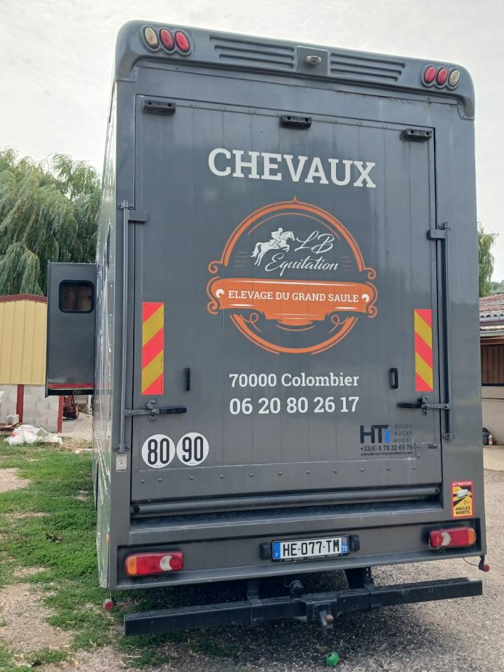 Zware paardenvrachtwagen (groot rijbewijs) Renault MILDIUM 280 DXI 2008 Tweedehands