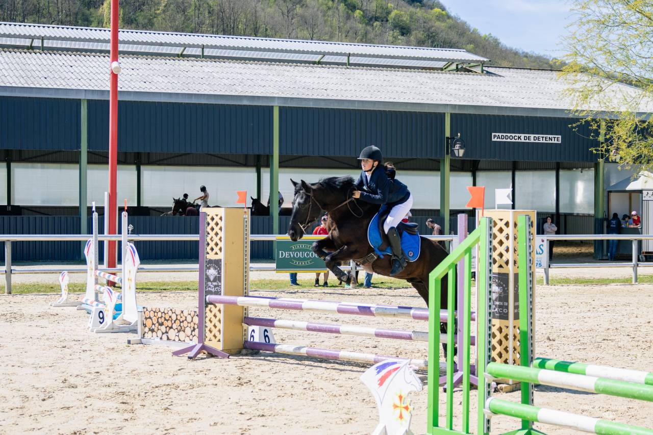 Ruin Franse rijpony PFS Te koop 2021 Zwart ,  Carlisto d'&eacute;t&eacute;