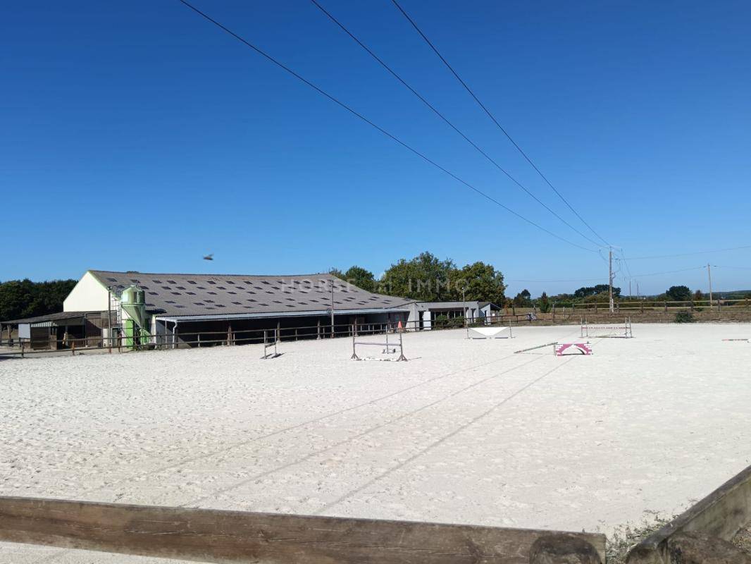 Ruiterclub Koop Finist&egrave;re
