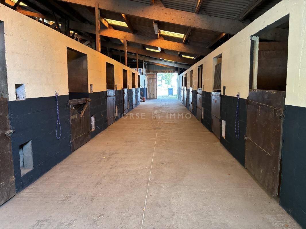 Ruiterclub Koop Finist&egrave;re