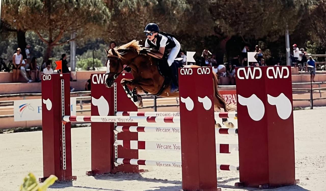 Ruin Franse rijpony PFS Te koop 2015 Vos