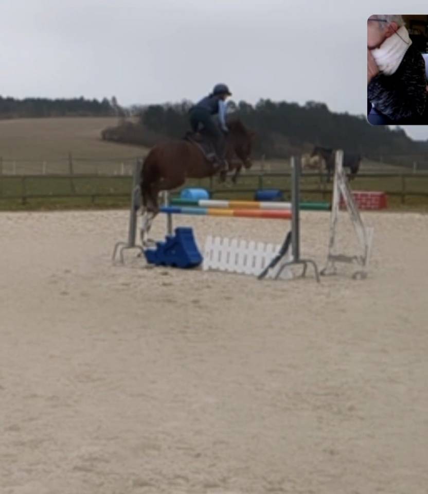 Merrie New Forest Te koop 2021 Vos
