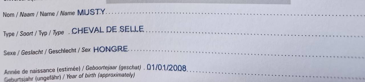 Ruin Rijpaard Te koop 2008 Vos