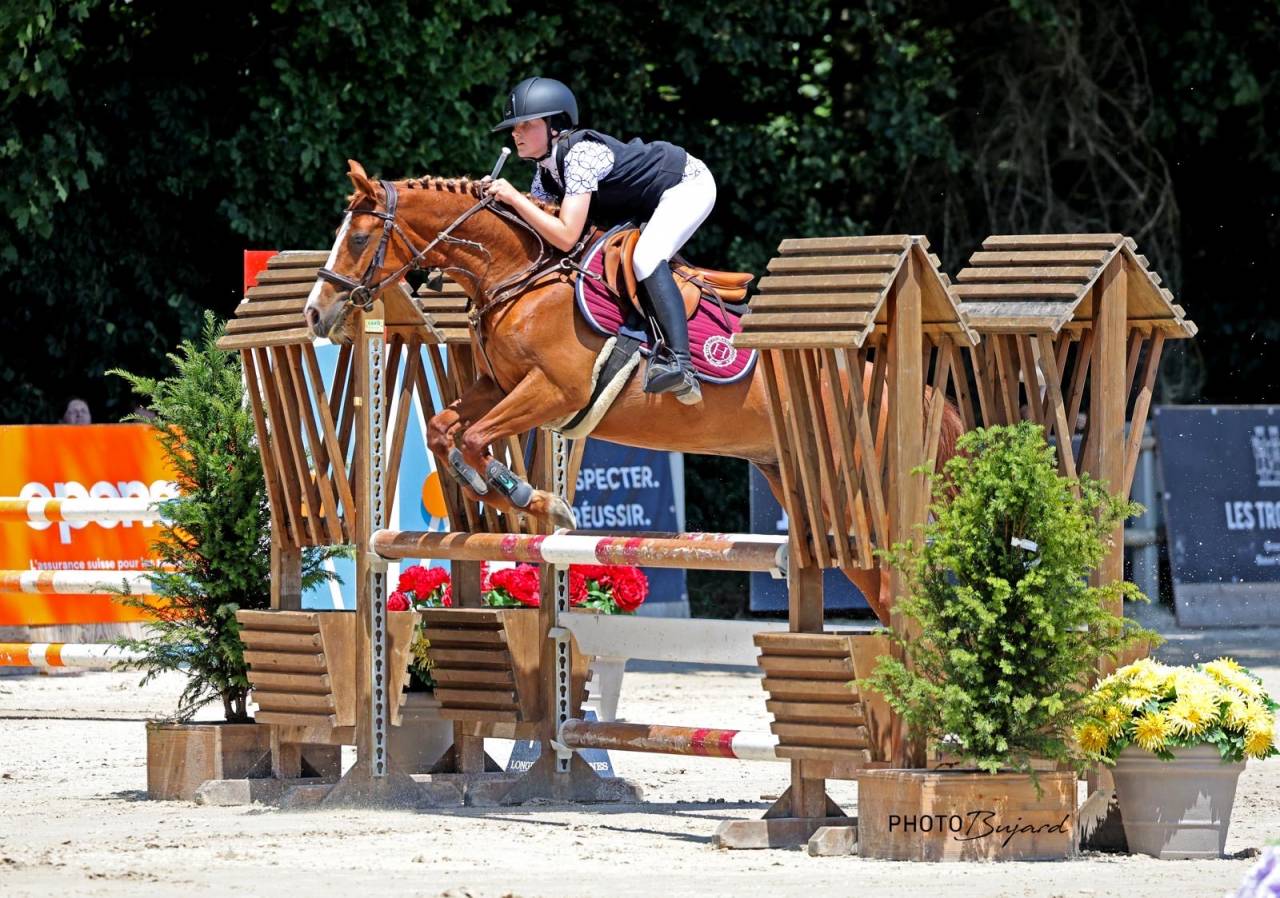 Merrie Franse rijpony PFS Te koop 2018 Vos ,  Etadam d&rsquo;Odival