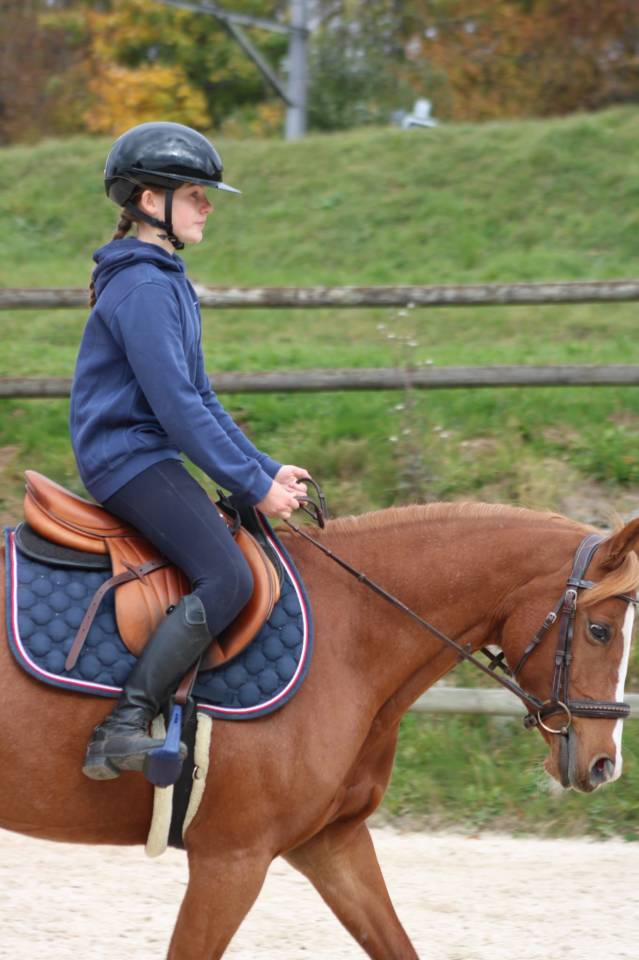 Merrie Franse rijpony PFS Te koop 2018 Vos ,  Etadam d&rsquo;Odival